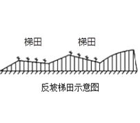 图片_x0020_100003