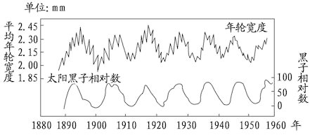 图片_x0020_100002
