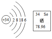 图片_x0020_1870844867