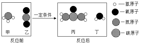 图片_x0020_100009