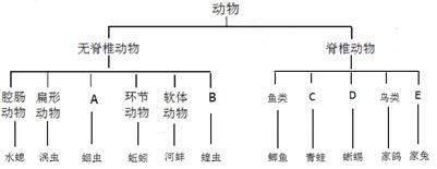 图片_x0020_100005