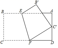 图片_x0020_100005