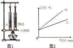 图片_x0020_100017