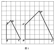图片_x0020_100019