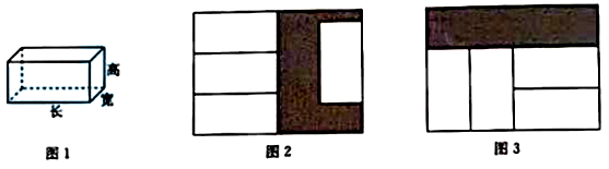 图片_x0020_100012