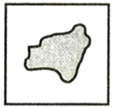 图片_x0020_100002