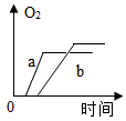 图片_x0020_100020