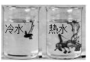 图片_x0020_100037