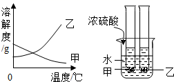 图片_x0020_100001