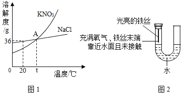 图片_x0020_1712106915