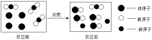 图片_x0020_769127592