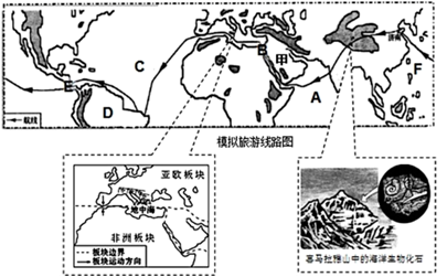图片_x0020_100019