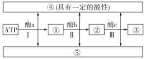 图片_x0020_100001