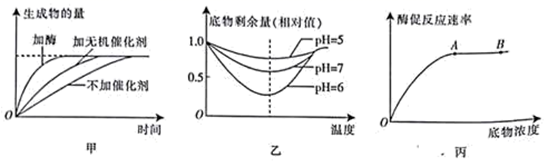 图片_x0020_100022