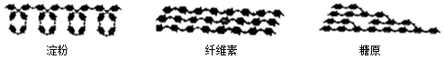 图片_x0020_100006