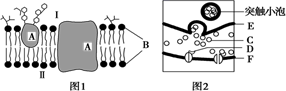 图片_x0020_100015