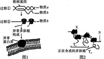 图片_x0020_100011