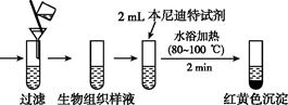 图片_x0020_100008