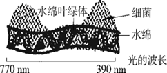 图片_x0020_100005