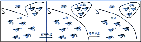 图片_x0020_100008