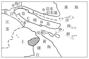 图片_x0020_100031