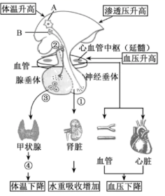 图片_x0020_100011