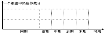 图片_x0020_100026