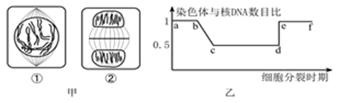 图片_x0020_100025