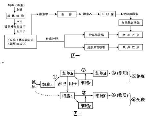 图片_x0020_100045