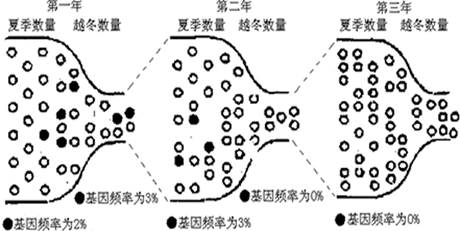 图片_x0020_100007