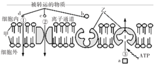 图片_x0020_100007