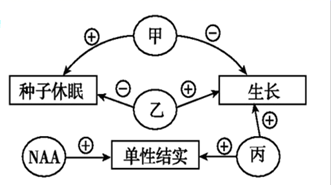 图片_x0020_100048