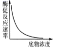 图片_x0020_100016