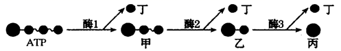 图片_x0020_100010