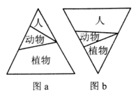 图片_x0020_100014