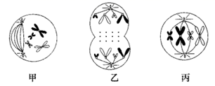 图片_x0020_100008