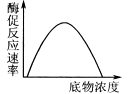 图片_x0020_100018