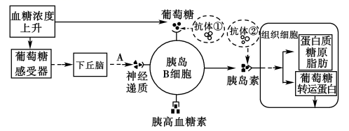 图片_x0020_100021