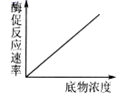 图片_x0020_100019