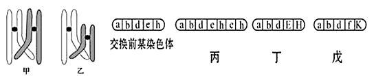 图片_x0020_100002