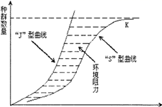 图片_x0020_100015