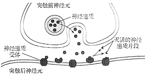 图片_x0020_100007