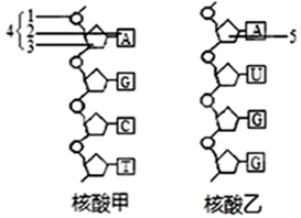 图片_x0020_100032