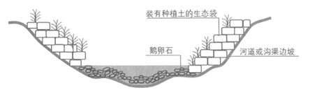 图片_x0020_100005