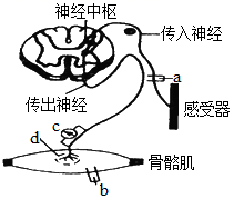 图片_x0020_100014