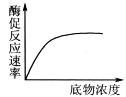 图片_x0020_100017