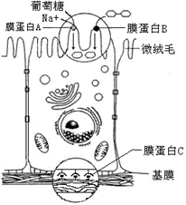 图片_x0020_100014