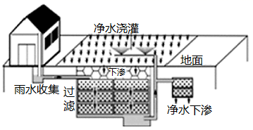图片_x0020_715734961