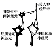 图片_x0020_100003