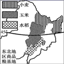 图片_x0020_100004